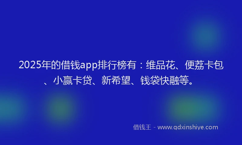 2025年的借钱app排行榜有：维品花、便荔卡包、小赢卡贷、新希望、钱袋快融等。
