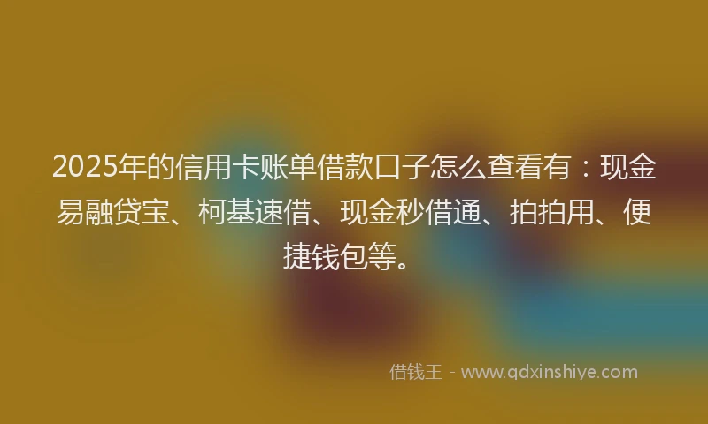 2025年的信用卡账单借款口子怎么查看有：现金易融贷宝、柯基速借、现金秒借通、拍拍用、便捷钱包等。