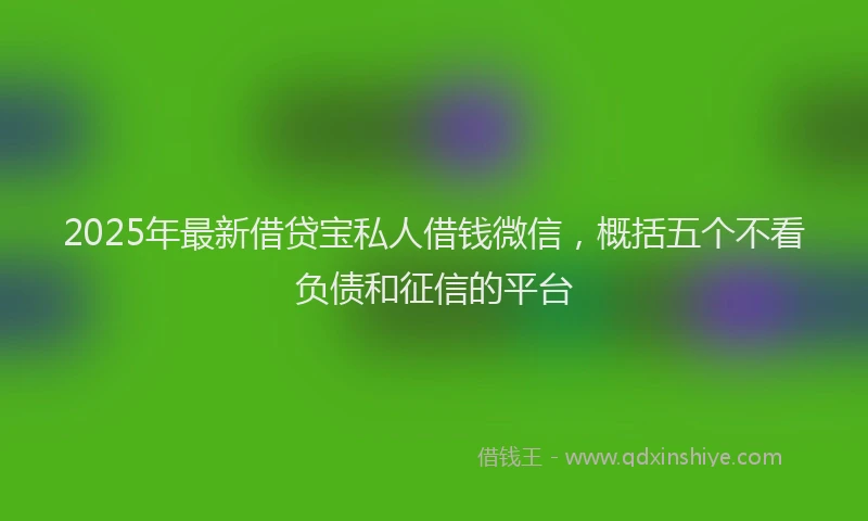 2025年最新借贷宝私人借钱微信，概括五个不看负债和征信的平台
