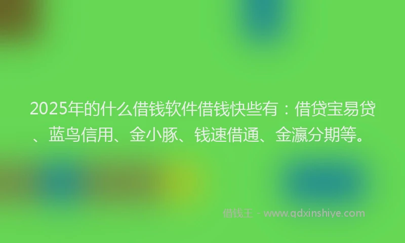 2025年的什么借钱软件借钱快些有：借贷宝易贷、蓝鸟信用、金小豚、钱速借通、金瀛分期等。
