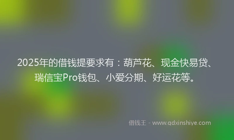 2025年的借钱提要求有：葫芦花、现金快易贷、瑞信宝Pro钱包、小爱分期、好运花等。