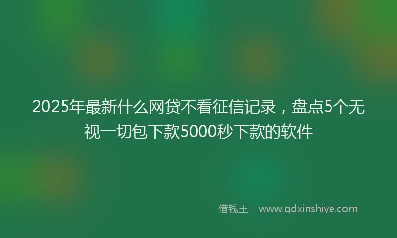 2025年最新什么网贷不看征信记录，盘点5个无视一切包下款5000秒下款的软件