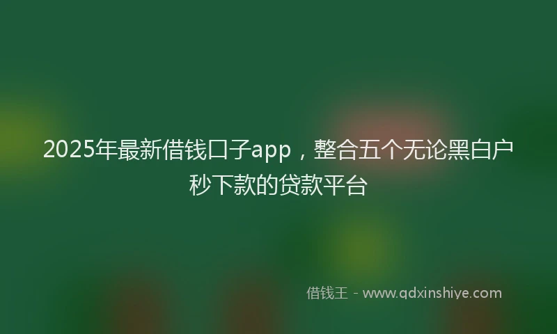 2025年最新借钱口子app，整合五个无论黑白户秒下款的贷款平台