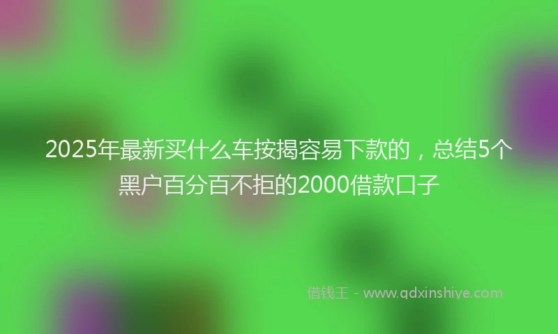 2025年最新买什么车按揭容易下款的，总结5个黑户百分百不拒的2000借款口子