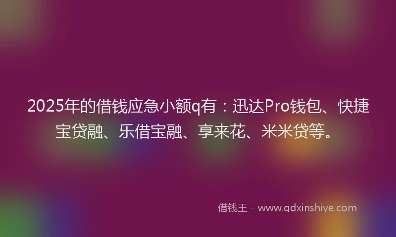 2025年的借钱应急小额q有：迅达Pro钱包、快捷宝贷融、乐借宝融、享来花、米米贷等。