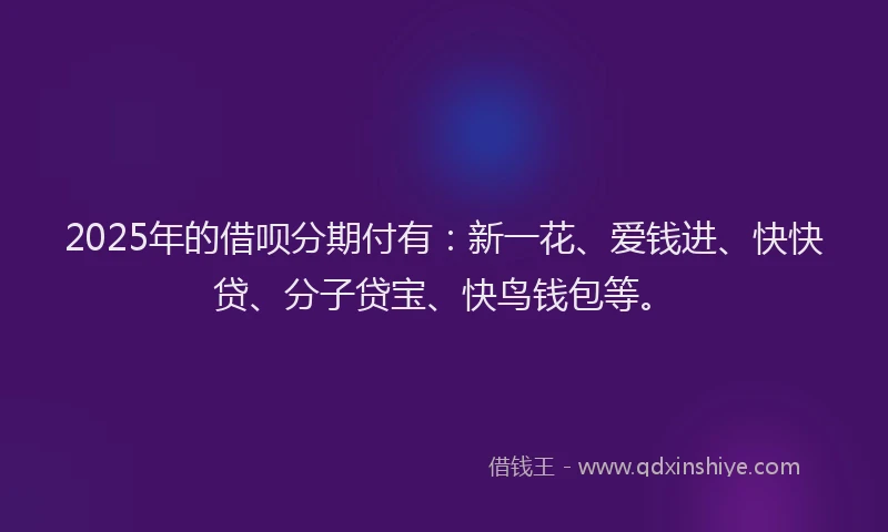 2025年的借呗分期付有：新一花、爱钱进、快快贷、分子贷宝、快鸟钱包等。