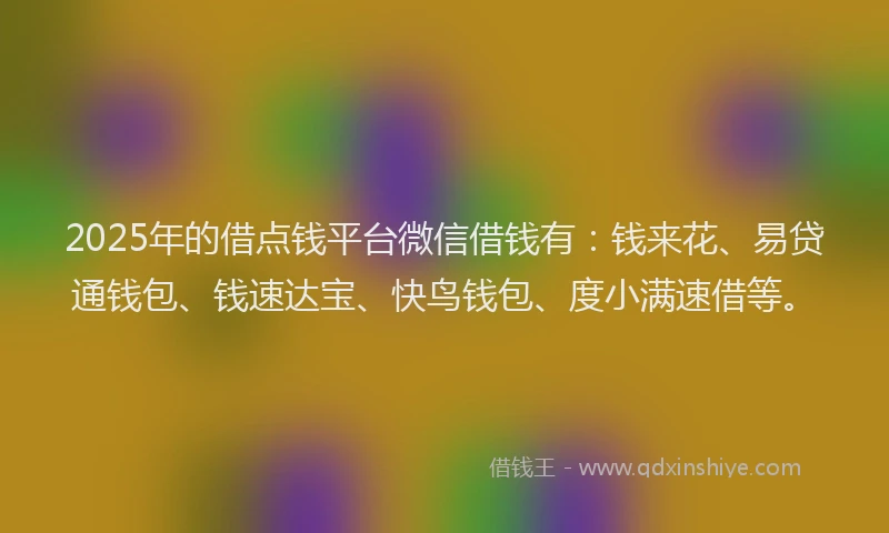 2025年的借点钱平台微信借钱有：钱来花、易贷通钱包、钱速达宝、快鸟钱包、度小满速借等。