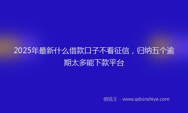 2025年最新什么借款口子不看征信，归纳五个逾期太多能下款平台