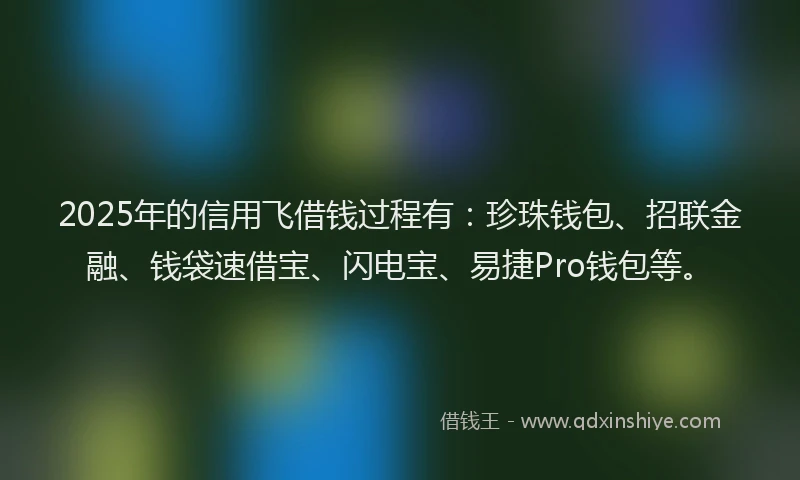 2025年的信用飞借钱过程有：珍珠钱包、招联金融、钱袋速借宝、闪电宝、易捷Pro钱包等。