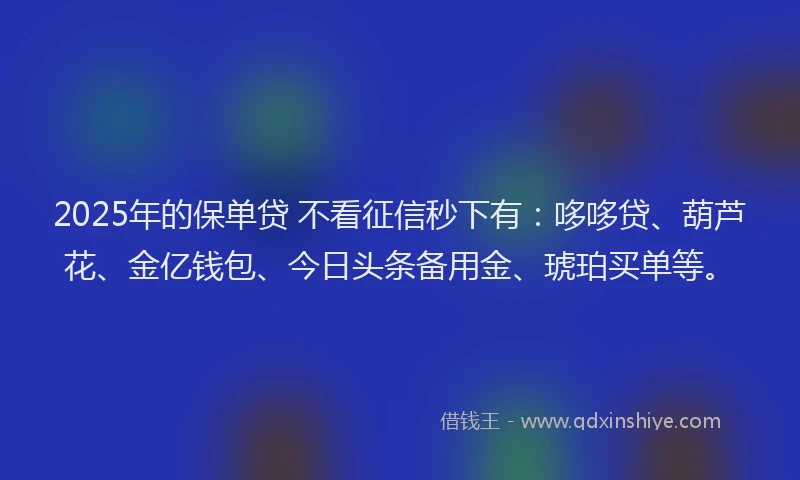 2025年的保单贷 不看征信秒下有：哆哆贷、葫芦花、金亿钱包、今日头条备用金、琥珀买单等。