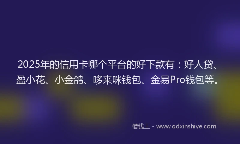 2025年的信用卡哪个平台的好下款有：好人贷、盈小花、小金鸽、哆来咪钱包、金易Pro钱包等。