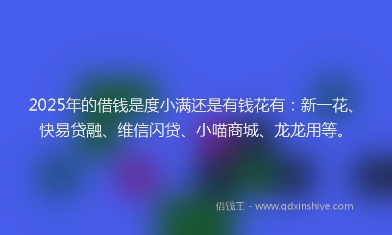 2025年的借钱是度小满还是有钱花有：新一花、快易贷融、维信闪贷、小喵商城、龙龙用等。