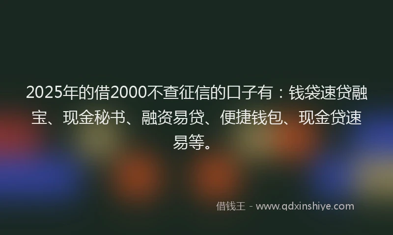2025年的借2000不查征信的口子有：钱袋速贷融宝、现金秘书、融资易贷、便捷钱包、现金贷速易等。