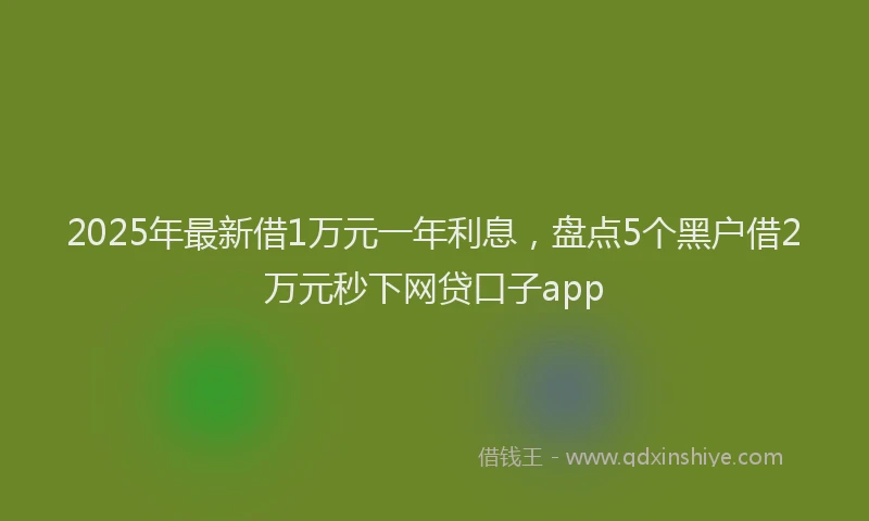 2025年最新借1万元一年利息，盘点5个黑户借2万元秒下网贷口子app