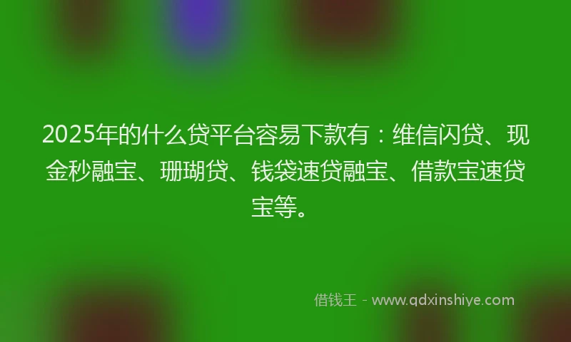 2025年的什么贷平台容易下款有：维信闪贷、现金秒融宝、珊瑚贷、钱袋速贷融宝、借款宝速贷宝等。
