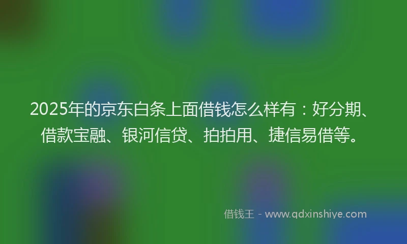2025年的京东白条上面借钱怎么样有：好分期、借款宝融、银河信贷、拍拍用、捷信易借等。