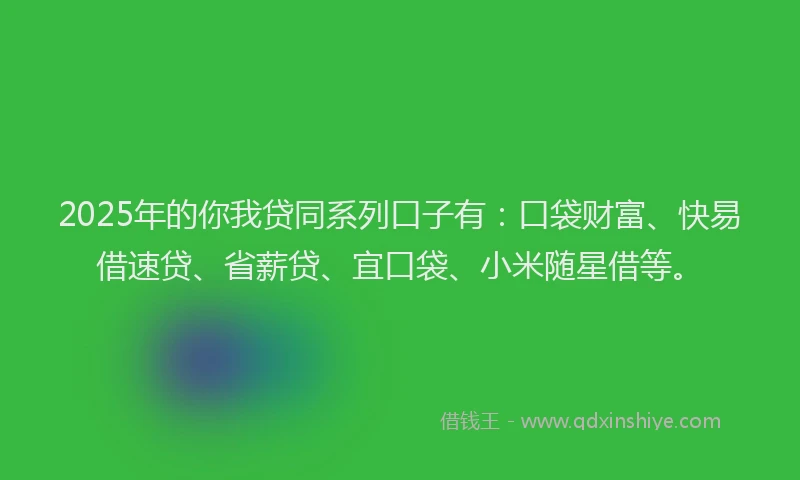 2025年的你我贷同系列口子有：口袋财富、快易借速贷、省薪贷、宜口袋、小米随星借等。