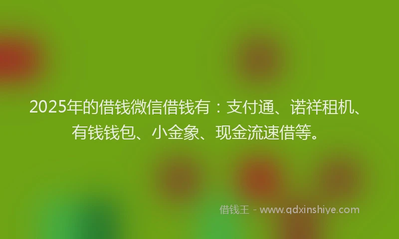 2025年的借钱微信借钱有：支付通、诺祥租机、有钱钱包、小金象、现金流速借等。