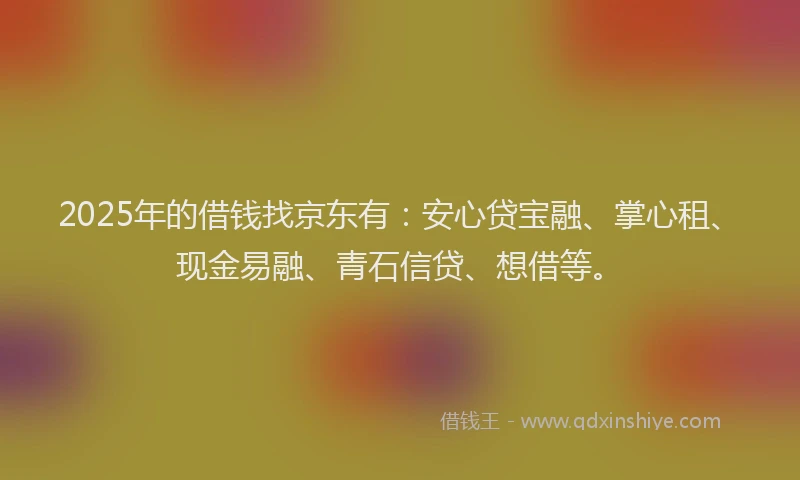 2025年的借钱找京东有：安心贷宝融、掌心租、现金易融、青石信贷、想借等。