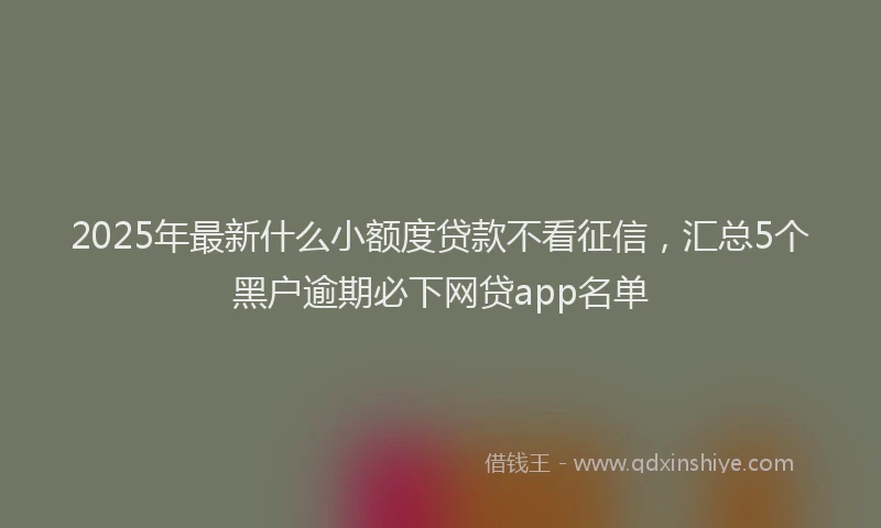2025年最新什么小额度贷款不看征信，汇总5个黑户逾期必下网贷app名单