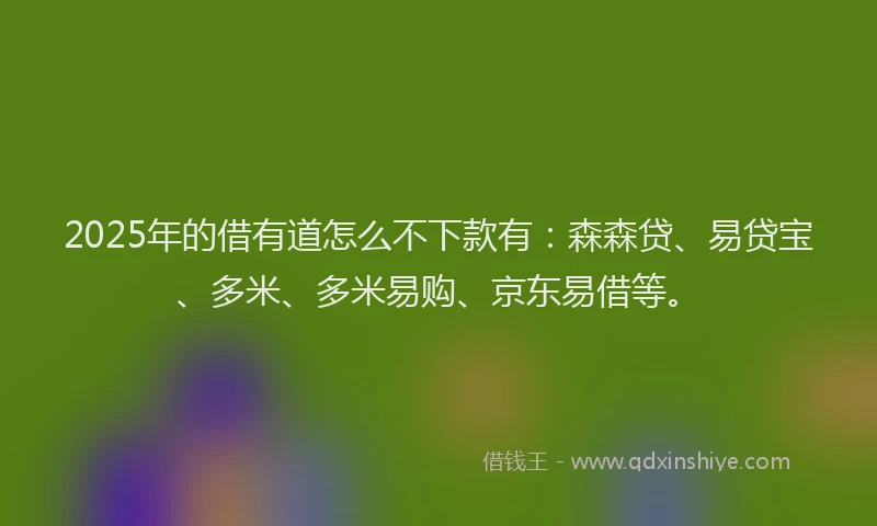 2025年的借有道怎么不下款有：森森贷、易贷宝、多米、多米易购、京东易借等。