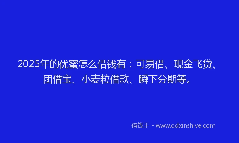 2025年的优蜜怎么借钱有：可易借、现金飞贷、团借宝、小麦粒借款、瞬下分期等。