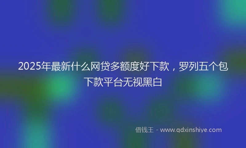 2025年最新什么网贷多额度好下款，罗列五个包下款平台无视黑白