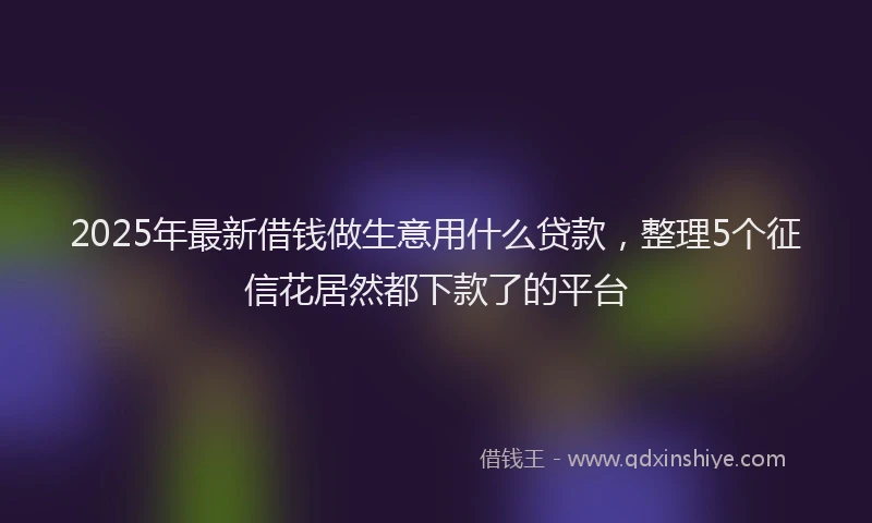 2025年最新借钱做生意用什么贷款，整理5个征信花居然都下款了的平台