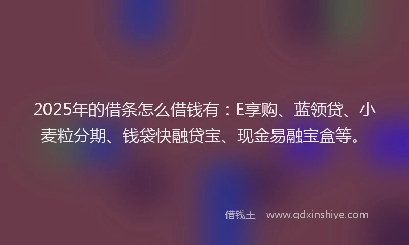 2025年的借条怎么借钱有：E享购、蓝领贷、小麦粒分期、钱袋快融贷宝、现金易融宝盒等。