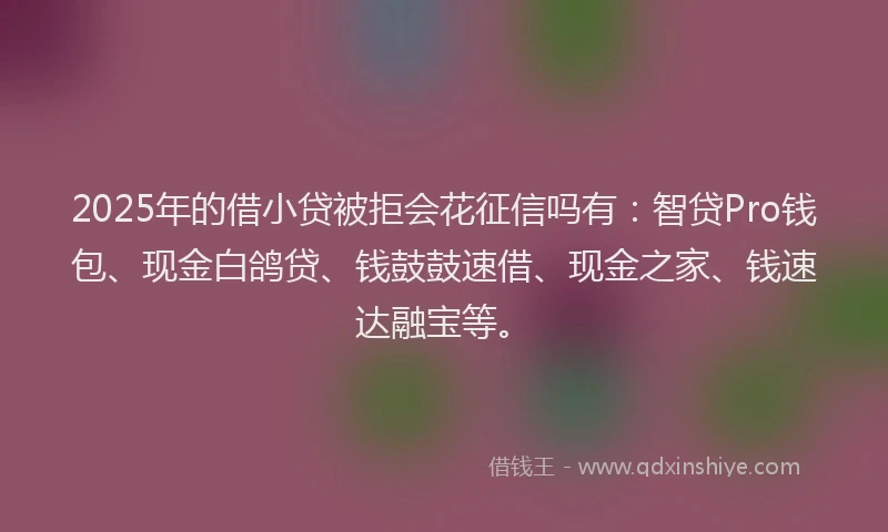 2025年的借小贷被拒会花征信吗有：智贷Pro钱包、现金白鸽贷、钱鼓鼓速借、现金之家、钱速达融宝等。