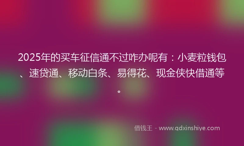 2025年的买车征信通不过咋办呢有：小麦粒钱包、速贷通、移动白条、易得花、现金侠快借通等。