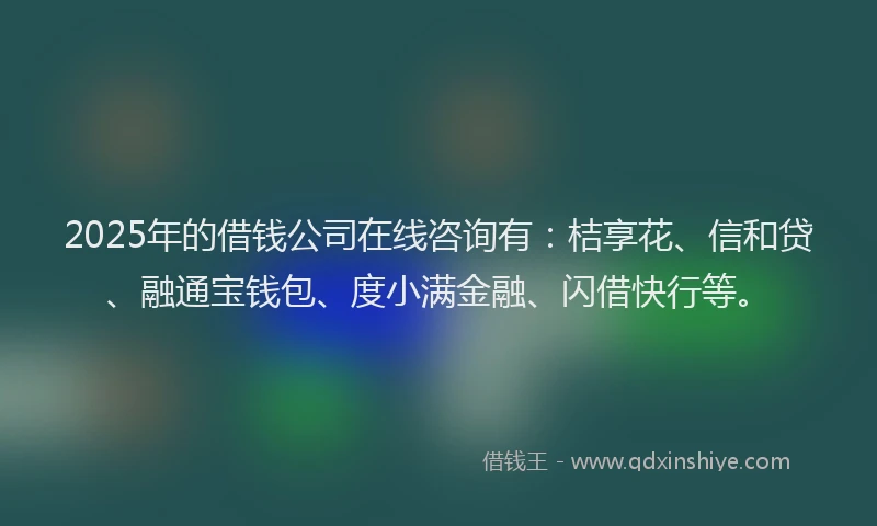 2025年的借钱公司在线咨询有：桔享花、信和贷、融通宝钱包、度小满金融、闪借快行等。