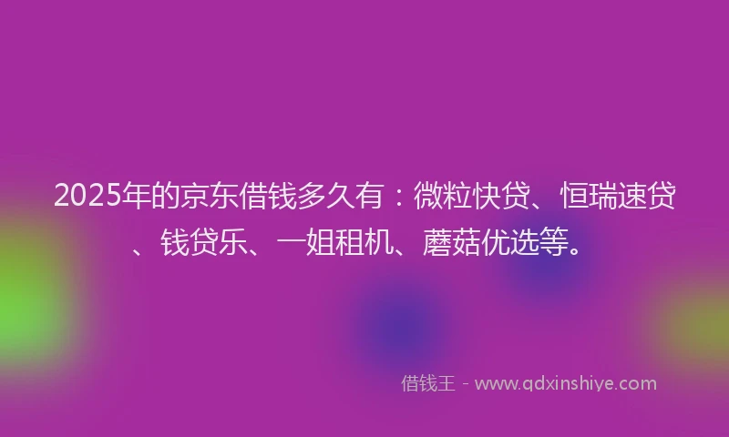 2025年的京东借钱多久有：微粒快贷、恒瑞速贷、钱贷乐、一姐租机、蘑菇优选等。