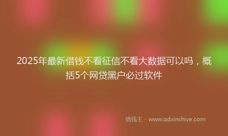 2025年最新借钱不看征信不看大数据可以吗，概括5个网贷黑户必过软件