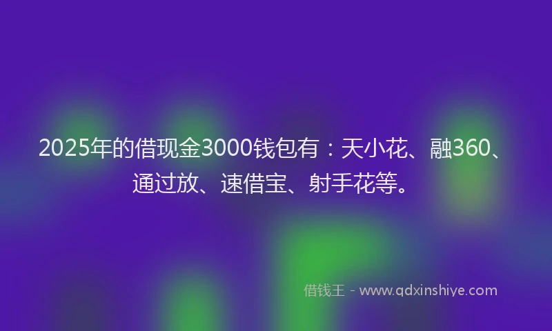 2025年的借现金3000钱包有：天小花、融360、通过放、速借宝、射手花等。