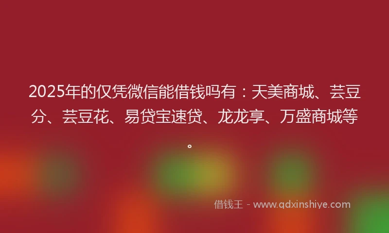 2025年的仅凭微信能借钱吗有：天美商城、芸豆分、芸豆花、易贷宝速贷、龙龙享、万盛商城等。