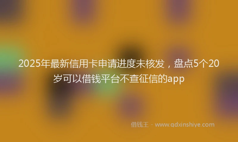 2025年最新信用卡申请进度未核发，盘点5个20岁可以借钱平台不查征信的app