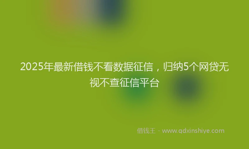 2025年最新借钱不看数据征信，归纳5个网贷无视不查征信平台