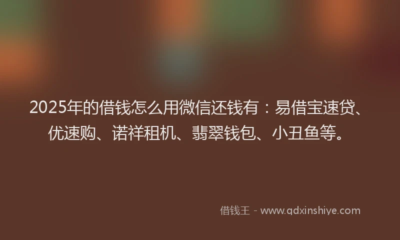 2025年的借钱怎么用微信还钱有：易借宝速贷、优速购、诺祥租机、翡翠钱包、小丑鱼等。