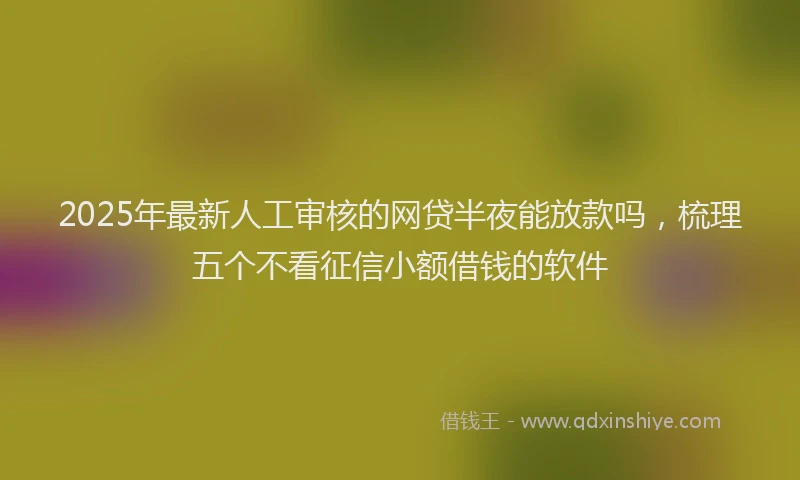 2025年最新人工审核的网贷半夜能放款吗，梳理五个不看征信小额借钱的软件