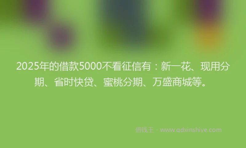 2025年的借款5000不看征信有：新一花、现用分期、省时快贷、蜜桃分期、万盛商城等。