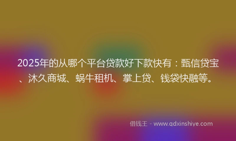 2025年的从哪个平台贷款好下款快有：甄信贷宝、沐久商城、蜗牛租机、掌上贷、钱袋快融等。