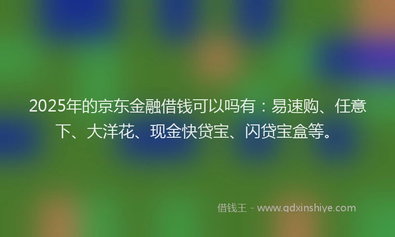 2025年的京东金融借钱可以吗有：易速购、任意下、大洋花、现金快贷宝、闪贷宝盒等。