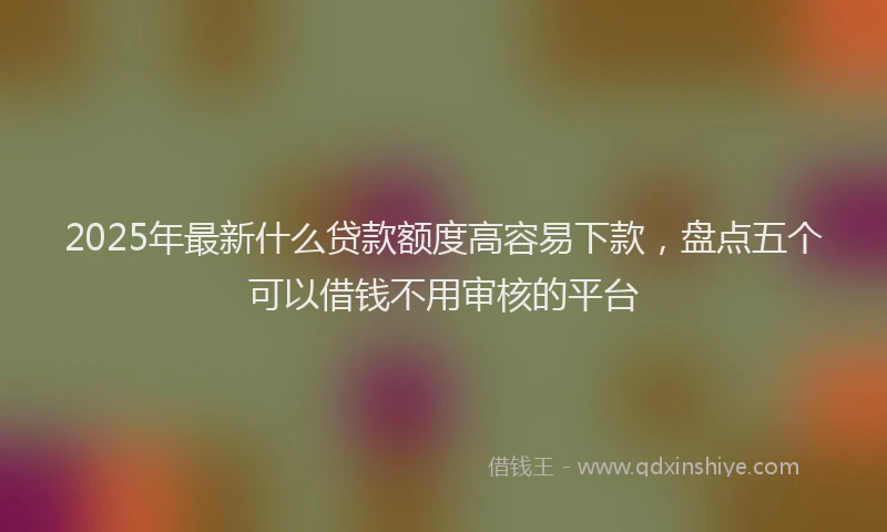 2025年最新什么贷款额度高容易下款，盘点五个可以借钱不用审核的平台