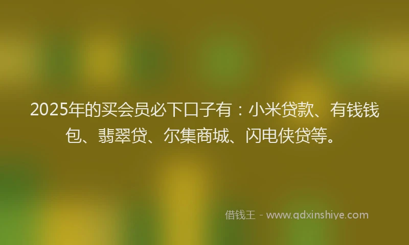 2025年的买会员必下口子有：小米贷款、有钱钱包、翡翠贷、尔集商城、闪电侠贷等。