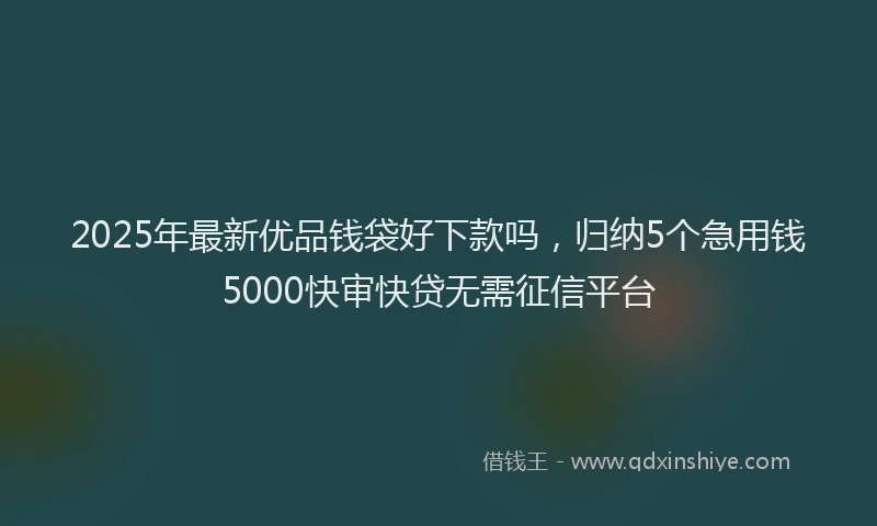 2025年最新优品钱袋好下款吗，归纳5个急用钱5000快审快贷无需征信平台