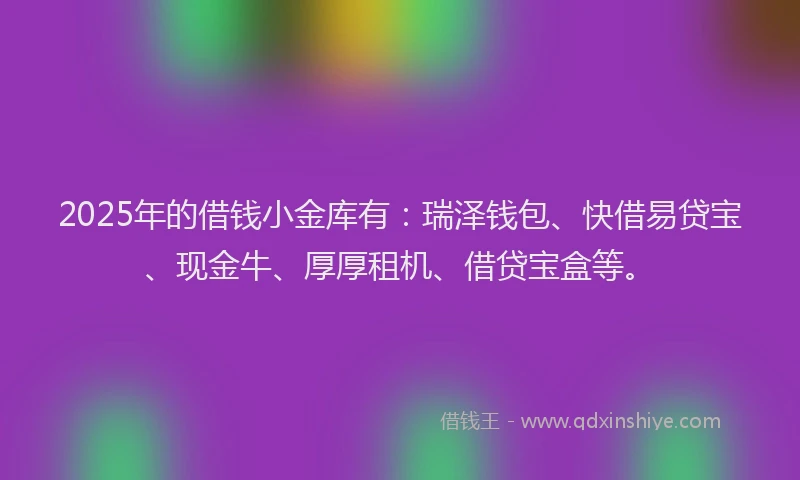 2025年的借钱小金库有：瑞泽钱包、快借易贷宝、现金牛、厚厚租机、借贷宝盒等。