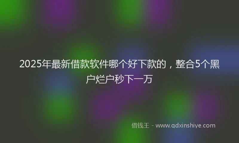 2025年最新借款软件哪个好下款的，整合5个黑户烂户秒下一万