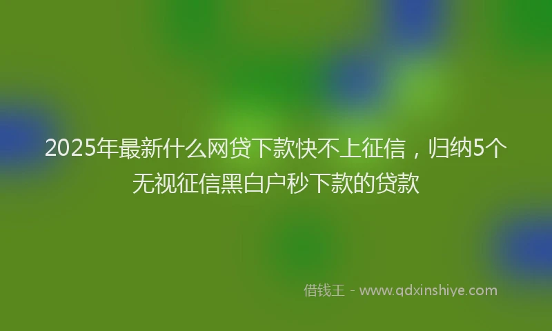 2025年最新什么网贷下款快不上征信，归纳5个无视征信黑白户秒下款的贷款