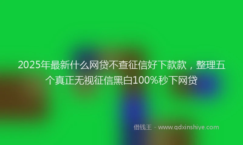 2025年最新什么网贷不查征信好下款款，整理五个真正无视征信黑白100%秒下网贷